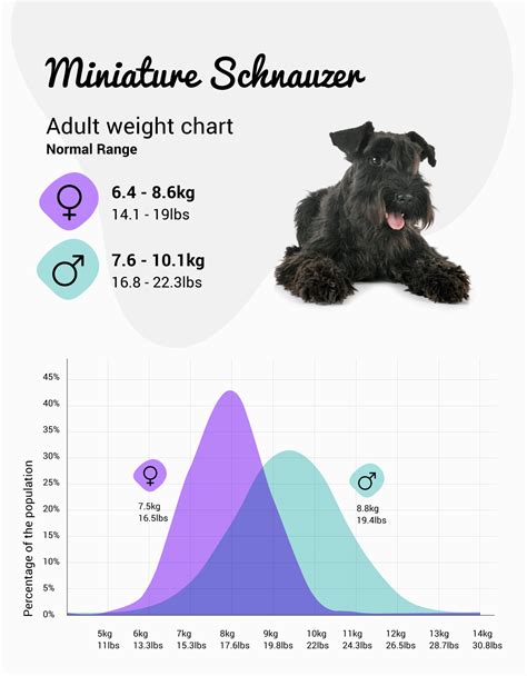 female miniature schnauzer weight